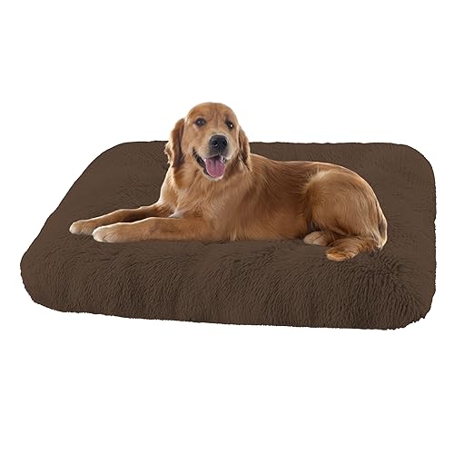 XIEMINLE Grosse Hundebett Orthopädisches Hundebett, Maschinenwaschbar Hundekissen Hundesofa, Katzenschlafplatz für Katzen und Hunde, Haustier Hundebetten Katzenbetten mit Anti-Rutsch(122x85x12cm) von XIEMINLE