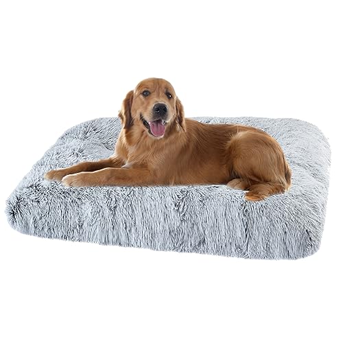 XIEMINLE Grosse Hundebett Orthopädisches Hundebett, Maschinenwaschbar Hundekissen Hundesofa, Katzenschlafplatz für Katzen und Hunde, Haustier Hundebetten Katzenbetten mit Anti-Rutsch(65x48x8cm) von XIEMINLE