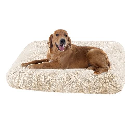 XIEMINLE Grosse Hundebett Orthopädisches Hundebett, Maschinenwaschbar Hundekissen Hundesofa, Katzenschlafplatz für Katzen und Hunde, Haustier Hundebetten Katzenbetten mit Anti-Rutsch(93x65x10cm) von XIEMINLE