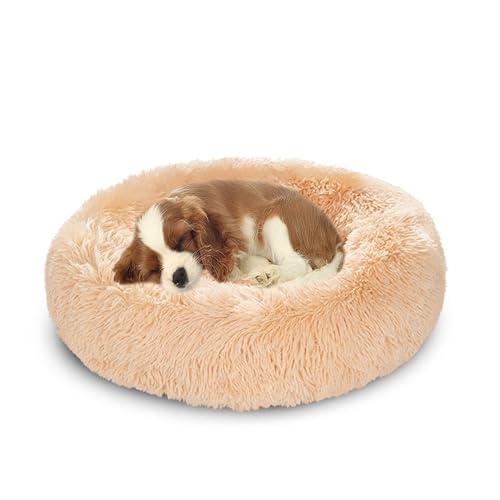 XIEMINLE Großes Hundebett, Plüsch, Donut-Hundekorb, flauschig, Anti-Angst, Haustierbett, wärmend, rund, kuschelig, Haustiernest, maschinenwaschbar, Welpenmatte, rutschfestes Welpenkissen, Kissen (120 XIEMINLE Großes Hundebett, Plüsch, Donut-Hundekorb, flauschig, Anti-Angst, Haustierbett, wärmend, rund, kuschelig, Haustiernest, maschinenwaschbar, Welpenmatte, rutschfestes Welpenkissen, Kissen (120 von XIEMINLE