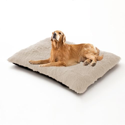 XIEMINLE Großes Hundebett, Plüschkissen, flauschig, Anti-Angst-Hundematratze, waschbar, weich, bequem, gepolstert, mit rutschfester Unterseite, 65 x 48 x 8 cm, gebrochenes Weiß von XIEMINLE