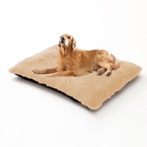XIEMINLE Großes Hundebett, Plüschkissen, flauschig, Anti-Angst-Hundematratze, waschbar, weich, bequem, gepolstert, mit rutschfester Unterseite, 78 x 55 x 10 cm, Beige von XIEMINLE