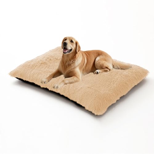 XIEMINLE Großes Hundebett, weich, beruhigendes Haustierkissen, maschinenwaschbar, Schlafmatratze für mittelgroße und große Hunde, warme Haustiermatte mit abnehmbarem Bezug (70 x 50 x 8 cm, Beige) von XIEMINLE