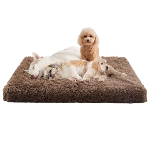 XIEMINLE Haustierbett Hundematratze, Hundebett Mittelgroße Hunde, rutschfeste Unterseite Anti-Angst Hundebetten, Abnehmbar Katzenbett Welpen Kissen, Katzenschlafplatz für Katzen und Hunde(50x40x5cm) XIEMINLE Haustierbett Hundematratze, Hundebett Mittelgroße Hunde, rutschfeste Unterseite Anti-Angst Hundebetten, Abnehmbar Katzenbett Welpen Kissen, Katzenschlafplatz für Katzen und Hunde(50x40x5cm) von XIEMINLE