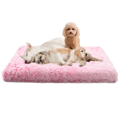 XIEMINLE Haustierbett Hundematratze, Hundebett Mittelgroße Hunde, rutschfeste Unterseite Anti-Angst Hundebetten, Abnehmbar Katzenbett Welpen Kissen, Katzenschlafplatz für Katzen und Hunde(50x40x5cm) XIEMINLE Haustierbett Hundematratze, Hundebett Mittelgroße Hunde, rutschfeste Unterseite Anti-Angst Hundebetten, Abnehmbar Katzenbett Welpen Kissen, Katzenschlafplatz für Katzen und Hunde(50x40x5cm) von XIEMINLE