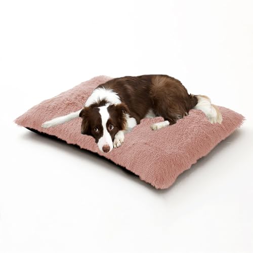 XIEMINLE Hundebett, gemütliches Haustierkissen, warmes Haustierbett, Matratze für Hundekäfig, weiche Welpenunterlage mit abnehmbarem Bezug, beruhigende Katzenmatte mit rutschfester Unterseite (100 x von XIEMINLE