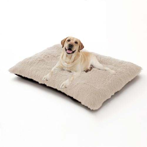 XIEMINLE Hundebett, weich, waschbar, Anti-Angst-Matte, warmes Welpen-Kissen mit rutschfester Unterseite, für mittelgroße und große Hunde (65 x 48 x 8 cm, gebrochenes Weiß) von XIEMINLE