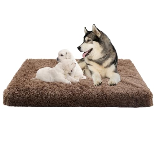 XIEMINLE Hundebett Grosse Hunde, Hundekissen Plüsch Waschbar Hundekorb, Anti-Angst Hundebetten Zwinger-Auflage, Orthopädisch Anti-Rutsch Hundesofa Haustierbett Hundematratze Welpen Kissen(50x40x5cm) XIEMINLE Hundebett Grosse Hunde, Hundekissen Plüsch Waschbar Hundekorb, Anti-Angst Hundebetten Zwinger-Auflage, Orthopädisch Anti-Rutsch Hundesofa Haustierbett Hundematratze Welpen Kissen(50x40x5cm) von XIEMINLE