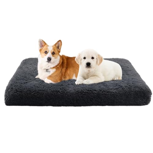 XIEMINLE Hundebett Hundematratze, Rutschfestes Hundematte, Welpen Kissen Katzenbett Hundekorb Waschbar, Hundesofa für Große Mittelgroße Hunde, Orthopädisches Haustierbett Zwinger-Auflage(100x60x10cm) XIEMINLE Hundebett Hundematratze, Rutschfestes Hundematte, Welpen Kissen Katzenbett Hundekorb Waschbar, Hundesofa für Große Mittelgroße Hunde, Orthopädisches Haustierbett Zwinger-Auflage(100x60x10cm) von XIEMINLE