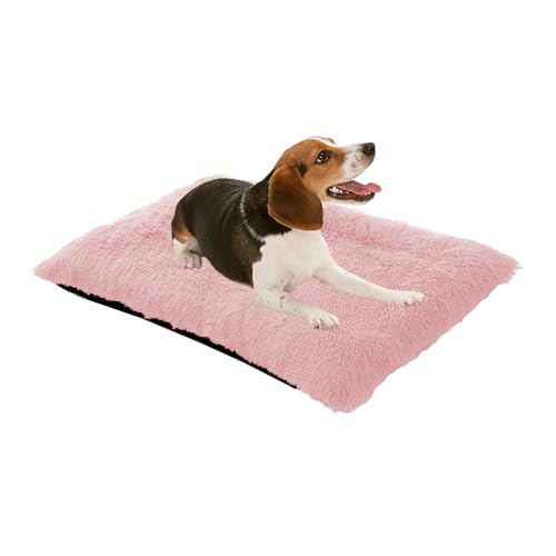 XIEMINLE Hundebett Katzenbett, Orthopädisch Waschbar Haustierbett Mittelgroße Hunde, Haustierbett für Große Hunde, rutschfeste Unterseite Anti-Angst Hundebetten Hundesofa Welpen Kissen(70x50x8cm) von XIEMINLE