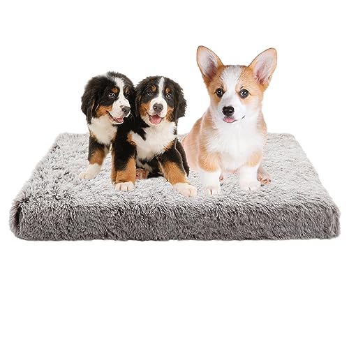 XIEMINLE Hundebett Orthopädisches Hundesofa, beruhigende Hundekäfig-Matratze, Hundematte Matratze für Box mit rutschfester Unterseite, Plüsch-Hundematte, mittelgroßes Hundekissen, Bett, 120 x 80 x 10 von XIEMINLE