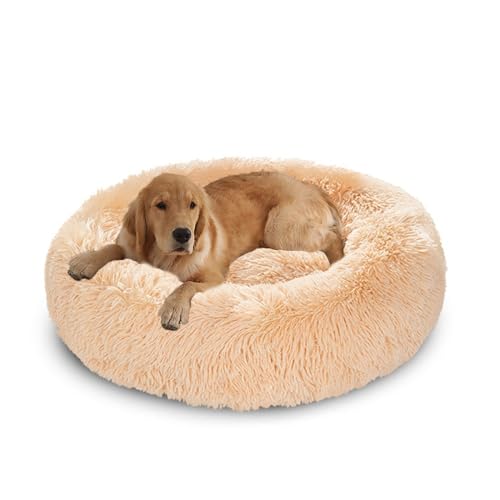 XIEMINLE Hundebett für den Innenbereich, Donut-Haustierbetten, rundes Hundekissen, maschinenwaschbar, Plüsch-Haustiermatte, warmes Welpennest, flauschiger Welpenkorb mit rutschfester Unterseite (140 XIEMINLE Hundebett für den Innenbereich, Donut-Haustierbetten, rundes Hundekissen, maschinenwaschbar, Plüsch-Haustiermatte, warmes Welpennest, flauschiger Welpenkorb mit rutschfester Unterseite (140 von XIEMINLE