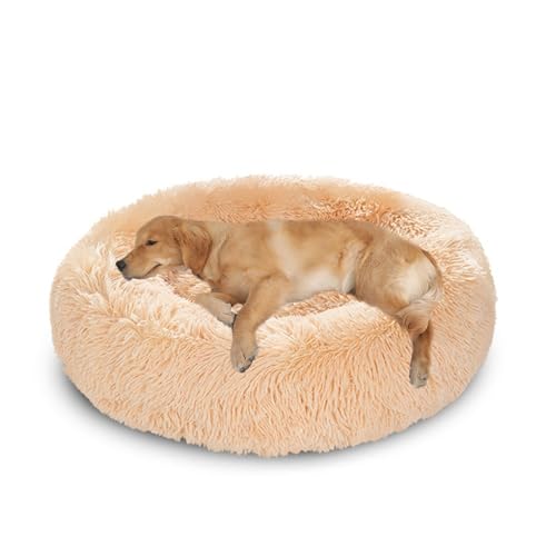 XIEMINLE Hundebett für mittelgroße und große Hunde und Katzen, Plüsch, Anti-Angst, rundes Haustierkissen, maschinenwaschbar, Donut-Welpenmatte, warmes Welpennest mit rutschfester Unterseite, 150 cm XIEMINLE Hundebett für mittelgroße und große Hunde und Katzen, Plüsch, Anti-Angst, rundes Haustierkissen, maschinenwaschbar, Donut-Welpenmatte, warmes Welpennest mit rutschfester Unterseite, 150 cm von XIEMINLE