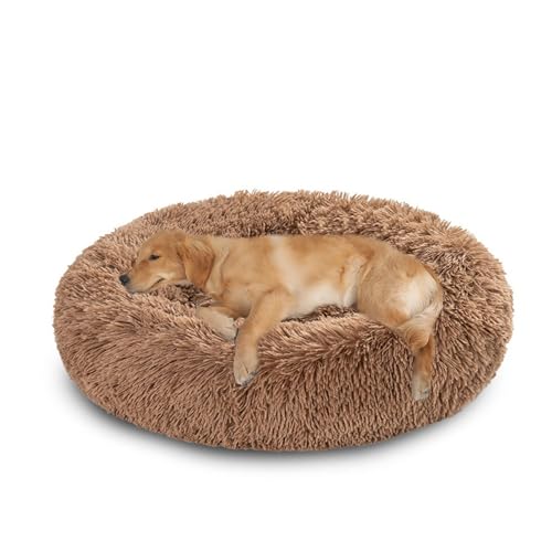 XIEMINLE Hundebett für mittelgroße und große Hunde und Katzen, Plüsch, Anti-Angst, rundes Haustierkissen, maschinenwaschbar, Donut-Welpenmatte, warmes Welpennest mit rutschfester Unterseite (120 cm XIEMINLE Hundebett für mittelgroße und große Hunde und Katzen, Plüsch, Anti-Angst, rundes Haustierkissen, maschinenwaschbar, Donut-Welpenmatte, warmes Welpennest mit rutschfester Unterseite (120 cm von XIEMINLE