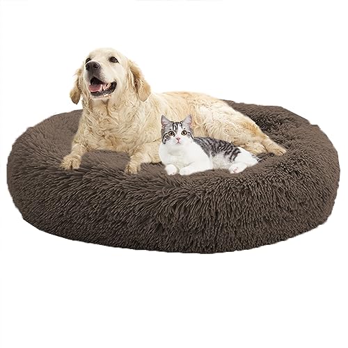 XIEMINLE Hundebetten, beruhigendes Donut-Welpenbett, Donut-Kissenbetten, Heimwelpen-Kuscheltier mit rutschfester Unterseite, Katzen-Haustierkissen, waschbar, Hundesofa, Bett, Hundekissenkorb, 110 cm, XIEMINLE Hundebetten, beruhigendes Donut-Welpenbett, Donut-Kissenbetten, Heimwelpen-Kuscheltier mit rutschfester Unterseite, Katzen-Haustierkissen, waschbar, Hundesofa, Bett, Hundekissenkorb, 110 cm, von XIEMINLE