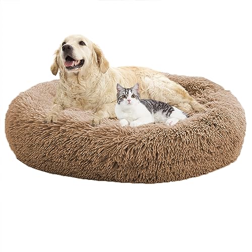 XIEMINLE Hundebetten, beruhigendes Donut-Welpenbett, Donut-Kissenbetten, Heimwelpen-Kuscheltier mit rutschfester Unterseite, Katzen-Haustierkissen, waschbar, Hundesofa, Bett, Hundekissenkorb, 130 cm, XIEMINLE Hundebetten, beruhigendes Donut-Welpenbett, Donut-Kissenbetten, Heimwelpen-Kuscheltier mit rutschfester Unterseite, Katzen-Haustierkissen, waschbar, Hundesofa, Bett, Hundekissenkorb, 130 cm, von XIEMINLE