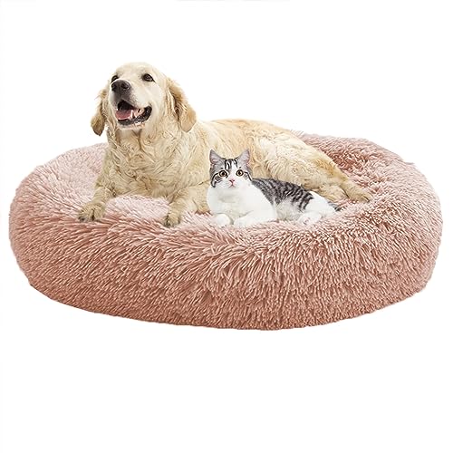 XIEMINLE Hundebetten, beruhigendes Donut-Welpenbett, Donut-Kissenbetten, Heimwelpen-Kuscheltier mit rutschfester Unterseite, Katzen-Haustierkissen, waschbar, Hundesofa, Bett, Hundekissenkorb, 90 cm, XIEMINLE Hundebetten, beruhigendes Donut-Welpenbett, Donut-Kissenbetten, Heimwelpen-Kuscheltier mit rutschfester Unterseite, Katzen-Haustierkissen, waschbar, Hundesofa, Bett, Hundekissenkorb, 90 cm, von XIEMINLE