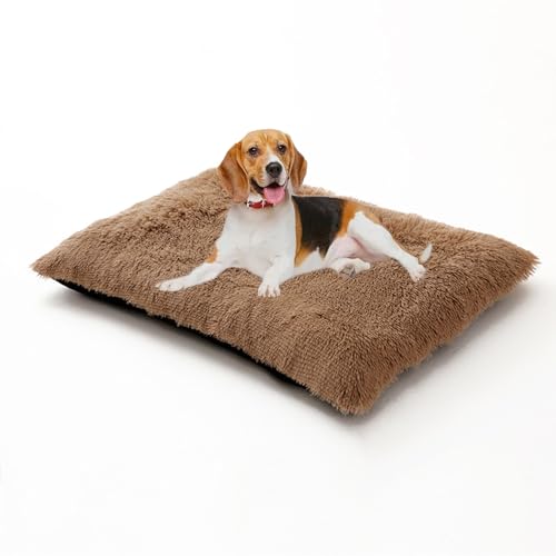 XIEMINLE Hundekäfigbett, warm, weich, flauschig, Anti-Angst, Hundekissen, waschbar, Haustiermatte mit abnehmbarem Bezug, Plüsch-Welpenunterlage mit rutschfester Unterseite, 70 x 50 x 8 cm, Khaki XIEMINLE Hundekäfigbett, warm, weich, flauschig, Anti-Angst, Hundekissen, waschbar, Haustiermatte mit abnehmbarem Bezug, Plüsch-Welpenunterlage mit rutschfester Unterseite, 70 x 50 x 8 cm, Khaki von XIEMINLE