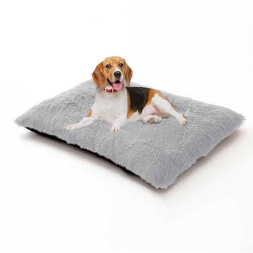 XIEMINLE Hundekäfigbett, warm, weich, flauschig, Anti-Angst, Hundekissen, waschbar, Haustiermatte mit abnehmbarem Bezug, Plüsch-Welpenunterlage mit rutschfester Unterseite (70 x 50 x 8 cm, Hellgrau) XIEMINLE Hundekäfigbett, warm, weich, flauschig, Anti-Angst, Hundekissen, waschbar, Haustiermatte mit abnehmbarem Bezug, Plüsch-Welpenunterlage mit rutschfester Unterseite (70 x 50 x 8 cm, Hellgrau) von XIEMINLE