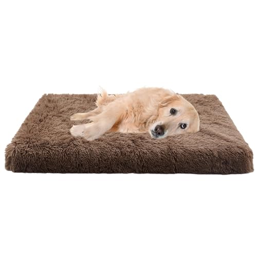 XIEMINLE Hundekissen Hundesofa, Abnehmbar Rutschfestes Hundematte Hundekorb, Anti-Angst Katzenbett Haustierbett für Große Mittelgroße Kleine Hunde, Katzenschlafplatz für Katzen und Hunde(75x50x7cm) XIEMINLE Hundekissen Hundesofa, Abnehmbar Rutschfestes Hundematte Hundekorb, Anti-Angst Katzenbett Haustierbett für Große Mittelgroße Kleine Hunde, Katzenschlafplatz für Katzen und Hunde(75x50x7cm) von XIEMINLE