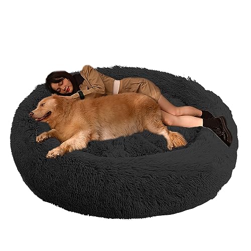 XIEMINLE Hundekissen Hundesofa Haustierbett, Orthopädisches Hundebett Katzenbett, Katzenschlafplatz für Katzen und Hunde, Rundes Hundebett für Mittelgroße und Große Hunde und Andere Haustiere(Ø70cm) von XIEMINLE