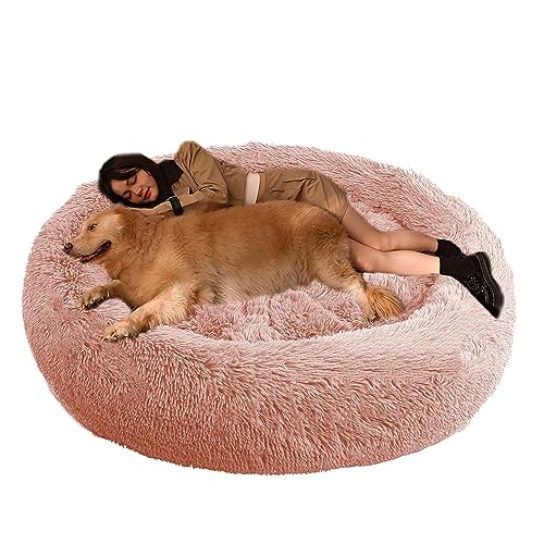 XIEMINLE Hundekissen Hundesofa Haustierbett, Orthopädisches Hundebett Katzenbett, Katzenschlafplatz für Katzen und Hunde, Rundes Hundebett für Mittelgroße und Große Hunde und Andere Haustiere(Ø110cm) von XIEMINLE