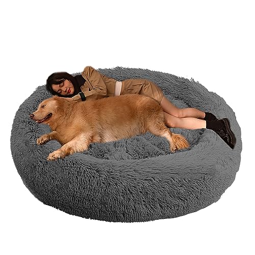XIEMINLE Hundekissen Hundesofa Haustierbett, Orthopädisches Hundebett Katzenbett, Katzenschlafplatz für Katzen und Hunde, Rundes Hundebett für Mittelgroße und Große Hunde und Andere Haustiere(Ø130cm) XIEMINLE Hundekissen Hundesofa Haustierbett, Orthopädisches Hundebett Katzenbett, Katzenschlafplatz für Katzen und Hunde, Rundes Hundebett für Mittelgroße und Große Hunde und Andere Haustiere(Ø130cm) von XIEMINLE