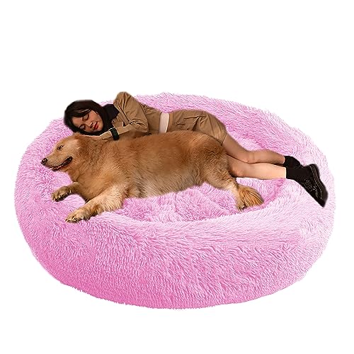 XIEMINLE Hundekissen Hundesofa Haustierbett, Orthopädisches Hundebett Katzenbett, Katzenschlafplatz für Katzen und Hunde, Rundes Hundebett für Mittelgroße und Große Hunde und Andere Haustiere(Ø140cm) XIEMINLE Hundekissen Hundesofa Haustierbett, Orthopädisches Hundebett Katzenbett, Katzenschlafplatz für Katzen und Hunde, Rundes Hundebett für Mittelgroße und Große Hunde und Andere Haustiere(Ø140cm) von XIEMINLE