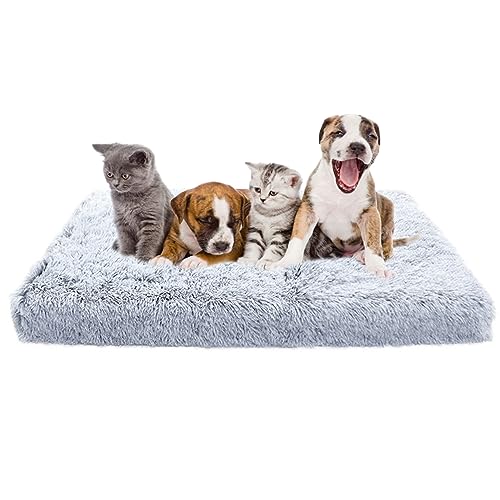 XIEMINLE Hundematratze, großes Hundebett, mittelgroßes orthopädisches Hundesofa mit abnehmbarem Bezug, beruhigende Hundekäfig-Matte, Matratze, Hundekissen mit rutschfester Unterseite, Haustierbett, XIEMINLE Hundematratze, großes Hundebett, mittelgroßes orthopädisches Hundesofa mit abnehmbarem Bezug, beruhigende Hundekäfig-Matte, Matratze, Hundekissen mit rutschfester Unterseite, Haustierbett, von XIEMINLE
