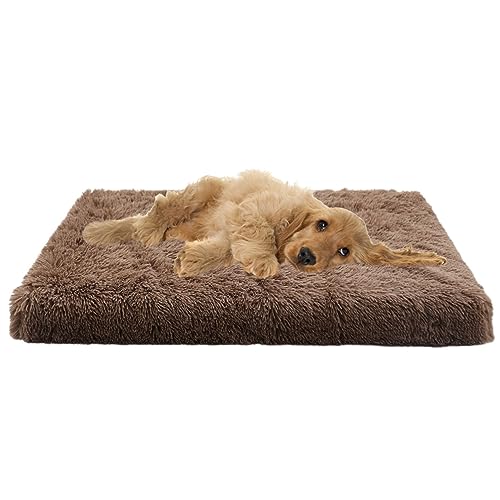 XIEMINLE Mittelgroßes Hundebett, orthopädisch, beruhigendes Hundesofa, Eierkiste, Schaumstoff-Haustierbett, großes Hundebett, waschbar, Plüsch-Haustierbett, Katzenbetten, Kissen, Hundekissen, XIEMINLE Mittelgroßes Hundebett, orthopädisch, beruhigendes Hundesofa, Eierkiste, Schaumstoff-Haustierbett, großes Hundebett, waschbar, Plüsch-Haustierbett, Katzenbetten, Kissen, Hundekissen, von XIEMINLE
