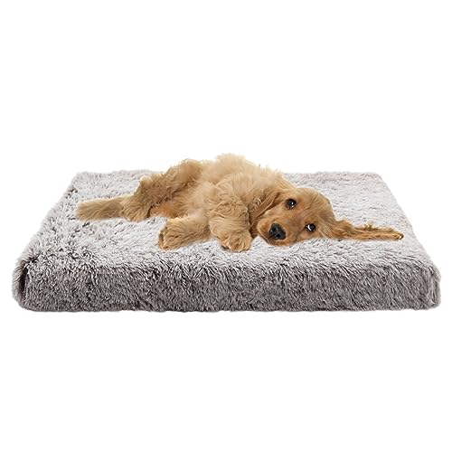 XIEMINLE Mittelgroßes Hundebett, orthopädisch, beruhigendes Hundesofa, Eierkiste, Schaumstoff-Haustierbett, großes Hundebett, waschbar, Plüsch-Haustierbett, Katzenbetten, Kissen, Hundekissen, von XIEMINLE