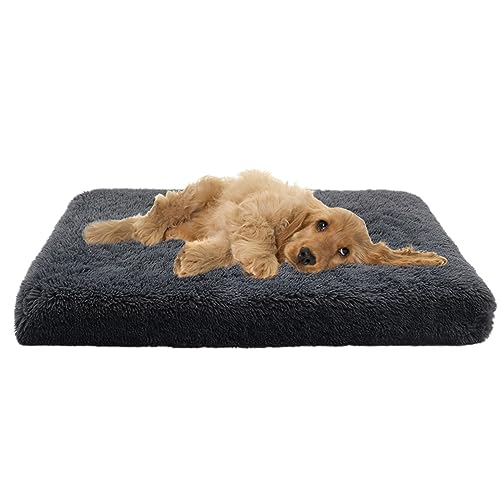 XIEMINLE Mittelgroßes Hundebett, orthopädisch, beruhigendes Hundesofa, Eierkiste, Schaumstoff-Haustierbett, großes Hundebett, waschbar, Plüsch-Haustierbett, Katzenbetten, Kissen, Hundekissen, von XIEMINLE