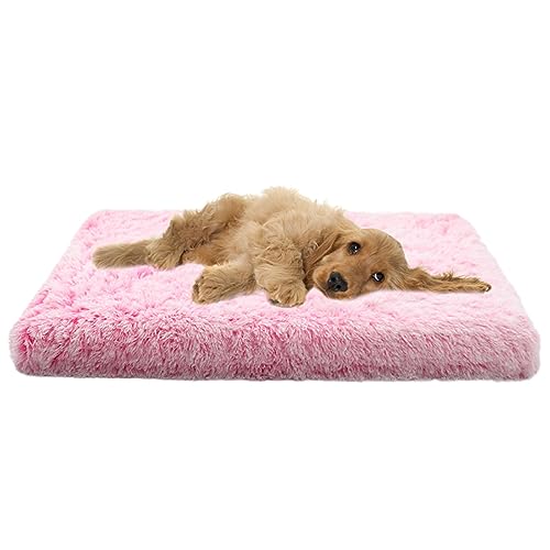 XIEMINLE Mittelgroßes Hundebett, orthopädisch, beruhigendes Hundesofa, Eierkiste, Schaumstoff-Haustierbett, großes Hundebett, waschbar, Plüsch-Haustierbett, Katzenbetten, Kissen, Hundekissen, XIEMINLE Mittelgroßes Hundebett, orthopädisch, beruhigendes Hundesofa, Eierkiste, Schaumstoff-Haustierbett, großes Hundebett, waschbar, Plüsch-Haustierbett, Katzenbetten, Kissen, Hundekissen, von XIEMINLE