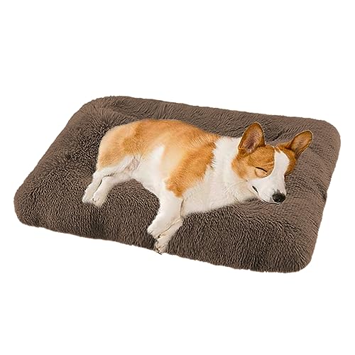 XIEMINLE Mittelgroßes Hundekissen, beruhigendes Anti-Angst-Hundebett, Hundematte für Box mit rutschfester Unterseite, Plüsch-Hundematte, Hundesofa für kleine, mittelgroße und große Haustiere, 75 x 50 XIEMINLE Mittelgroßes Hundekissen, beruhigendes Anti-Angst-Hundebett, Hundematte für Box mit rutschfester Unterseite, Plüsch-Hundematte, Hundesofa für kleine, mittelgroße und große Haustiere, 75 x 50 von XIEMINLE