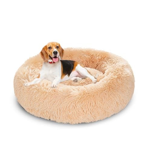 XIEMINLE Orthopädisches Hundebett, flauschig, kreisförmig, Plüsch, Anti-Angst-Hundekissen, warmes Haustiernest, waschbar, runde Welpenmatratze, Donut-Katzenmatte mit rutschfester Unterseite, 130 cm XIEMINLE Orthopädisches Hundebett, flauschig, kreisförmig, Plüsch, Anti-Angst-Hundekissen, warmes Haustiernest, waschbar, runde Welpenmatratze, Donut-Katzenmatte mit rutschfester Unterseite, 130 cm von XIEMINLE