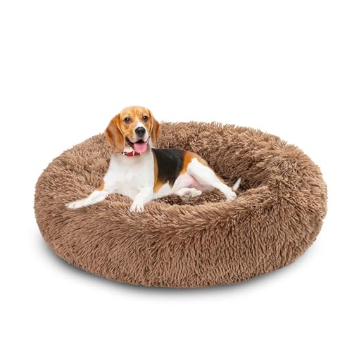 XIEMINLE Orthopädisches Hundebett, flauschig, kreisförmig, Plüsch, Anti-Angst-Hundekissen, warmes Haustiernest, waschbar, runde Welpenmatratze, weiche Katzenmatte mit rutschfester Unterseite, 140 cm XIEMINLE Orthopädisches Hundebett, flauschig, kreisförmig, Plüsch, Anti-Angst-Hundekissen, warmes Haustiernest, waschbar, runde Welpenmatratze, weiche Katzenmatte mit rutschfester Unterseite, 140 cm von XIEMINLE