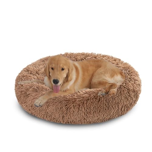XIEMINLE Orthopädisches Hundebett, flauschiges, rundes Haustierbett, Plüsch-Hundekissen, Donut-Motiv, rutschfest, maschinenwaschbar, Welpenhütte, Anti-Angst-Welpen-Matratze, warme Katzenmatte (150 cm XIEMINLE Orthopädisches Hundebett, flauschiges, rundes Haustierbett, Plüsch-Hundekissen, Donut-Motiv, rutschfest, maschinenwaschbar, Welpenhütte, Anti-Angst-Welpen-Matratze, warme Katzenmatte (150 cm von XIEMINLE