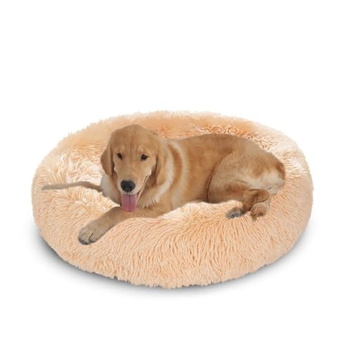 XIEMINLE Orthopädisches Hundebett, flauschiges, rundes Haustierbett, Plüsch-Hundekissen, Donut-Motiv, rutschfest, maschinenwaschbar, Welpenhütte, Anti-Angst-Welpen-Matratze, warme Katzenmatte (80 cm XIEMINLE Orthopädisches Hundebett, flauschiges, rundes Haustierbett, Plüsch-Hundekissen, Donut-Motiv, rutschfest, maschinenwaschbar, Welpenhütte, Anti-Angst-Welpen-Matratze, warme Katzenmatte (80 cm von XIEMINLE