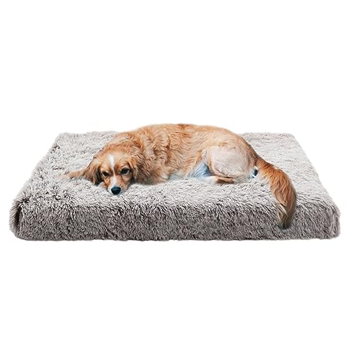 XIEMINLE Orthopädisches Hundebett, groß, Plüsch-Hundematratze, Kissen mit rutschfester Unterseite, beruhigendes Anti-Angst-Haustierbett, Hundekissen, mittelgroße Hundematte, Hundesofa, Bett, 100 x 60 XIEMINLE Orthopädisches Hundebett, groß, Plüsch-Hundematratze, Kissen mit rutschfester Unterseite, beruhigendes Anti-Angst-Haustierbett, Hundekissen, mittelgroße Hundematte, Hundesofa, Bett, 100 x 60 von XIEMINLE
