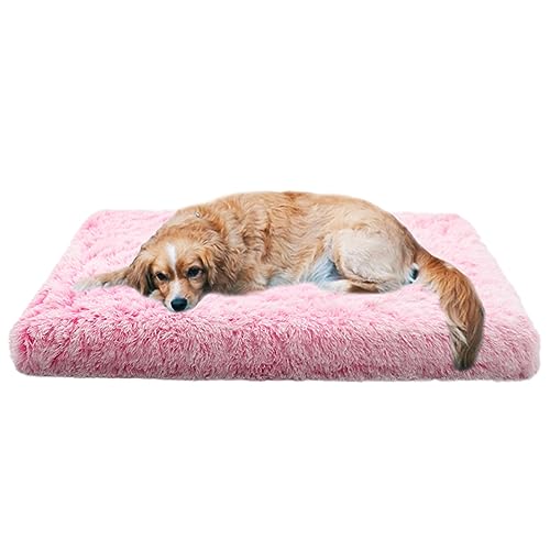 XIEMINLE Orthopädisches Hundebett, groß, Plüsch-Hundematratze, Kissen mit rutschfester Unterseite, beruhigendes Anti-Angst-Haustierbett, Hundekissen, mittelgroße Hundematte, Hundesofa, Bett, 50 x 40 x XIEMINLE Orthopädisches Hundebett, groß, Plüsch-Hundematratze, Kissen mit rutschfester Unterseite, beruhigendes Anti-Angst-Haustierbett, Hundekissen, mittelgroße Hundematte, Hundesofa, Bett, 50 x 40 x von XIEMINLE