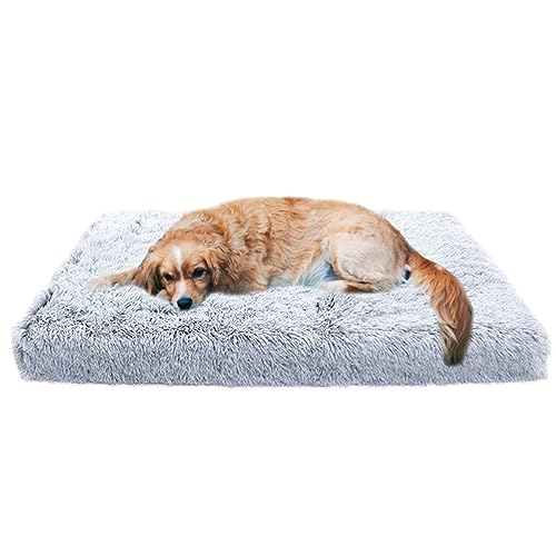 XIEMINLE Orthopädisches Hundebett, groß, Plüsch-Hundematratze, Kissen mit rutschfester Unterseite, beruhigendes Anti-Angst-Haustierbett, Hundekissen, mittelgroße Hundematte, Hundesofa, Bett, 50 x 40 x XIEMINLE Orthopädisches Hundebett, groß, Plüsch-Hundematratze, Kissen mit rutschfester Unterseite, beruhigendes Anti-Angst-Haustierbett, Hundekissen, mittelgroße Hundematte, Hundesofa, Bett, 50 x 40 x von XIEMINLE