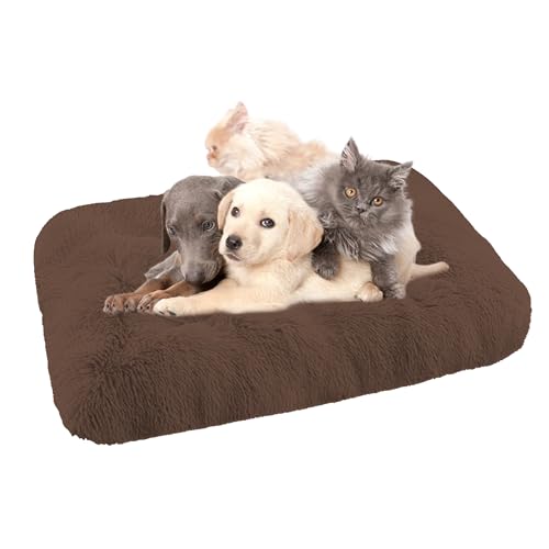 XIEMINLE Orthopädisches Hundebett Katzenbett, Waschbar Hundekorb Hundekissen Hundesofa für große, mittelgroße & kleine Hunde, Anti-Angst Hundebett, Katzenschlafplatz für Katzen und Hunde(65x48x8cm) XIEMINLE Orthopädisches Hundebett Katzenbett, Waschbar Hundekorb Hundekissen Hundesofa für große, mittelgroße & kleine Hunde, Anti-Angst Hundebett, Katzenschlafplatz für Katzen und Hunde(65x48x8cm) von XIEMINLE