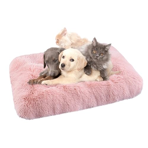 XIEMINLE Orthopädisches Hundebett Katzenbett, Waschbar Hundekorb Hundekissen Hundesofa für große, mittelgroße & kleine Hunde, Anti-Angst Hundebett, Katzenschlafplatz für Katzen und Hunde(65x48x8cm) XIEMINLE Orthopädisches Hundebett Katzenbett, Waschbar Hundekorb Hundekissen Hundesofa für große, mittelgroße & kleine Hunde, Anti-Angst Hundebett, Katzenschlafplatz für Katzen und Hunde(65x48x8cm) von XIEMINLE
