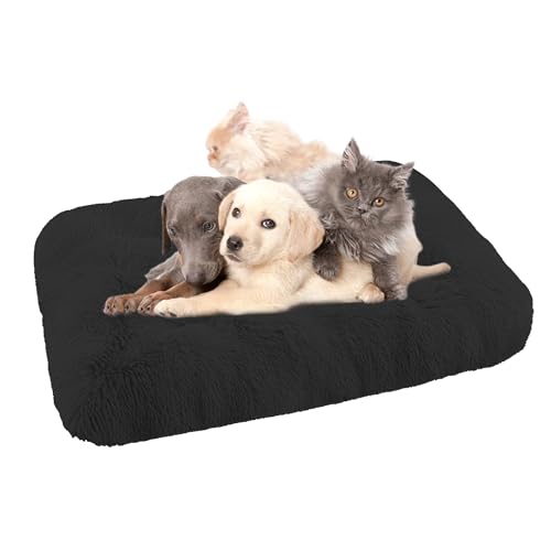 XIEMINLE Orthopädisches Hundebett Katzenbett, Waschbar Hundekorb Hundekissen Hundesofa für große, mittelgroße & kleine Hunde, Anti-Angst Hundebett, Katzenschlafplatz für Katzen und Hunde(65x48x8cm) XIEMINLE Orthopädisches Hundebett Katzenbett, Waschbar Hundekorb Hundekissen Hundesofa für große, mittelgroße & kleine Hunde, Anti-Angst Hundebett, Katzenschlafplatz für Katzen und Hunde(65x48x8cm) von XIEMINLE