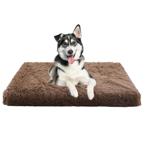 XIEMINLE Orthopädisches Hundekissen Haustierbett, Anti-Angst Haustier Hundebetten für Mittelgroße Hunde, Plüsch Katzenbett Hundesofa, Abnehmbar und Waschbar Hundekorb Zwinger-Auflage(100x60x10cm) von XIEMINLE