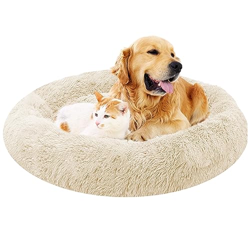 XIEMINLE Rund Hundekissen Hundesofa, Orthopädisches Hundebett Welpen Kissen, Katzenbett Donut Kuscheliges, Katzenschlafplatz für Katzen und Hunde, Waschbar Hundebett Größe und Farbe wählbar(Ø110cm) XIEMINLE Rund Hundekissen Hundesofa, Orthopädisches Hundebett Welpen Kissen, Katzenbett Donut Kuscheliges, Katzenschlafplatz für Katzen und Hunde, Waschbar Hundebett Größe und Farbe wählbar(Ø110cm) von XIEMINLE