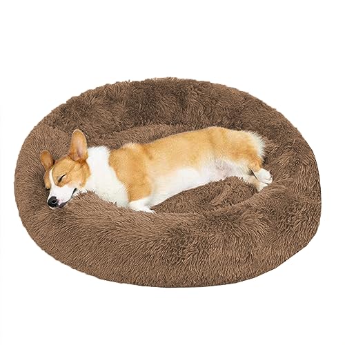 XIEMINLE Rundes Plüsch-Hundebett gegen Angst, beruhigendes Donut-Welpenbett, rutschfestes Donut-Kissenbett für große, mittelgroße und kleine Hunde, waschbares Donut-Hundebett Hundesofa Bett (140 cm) XIEMINLE Rundes Plüsch-Hundebett gegen Angst, beruhigendes Donut-Welpenbett, rutschfestes Donut-Kissenbett für große, mittelgroße und kleine Hunde, waschbares Donut-Hundebett Hundesofa Bett (140 cm) von XIEMINLE