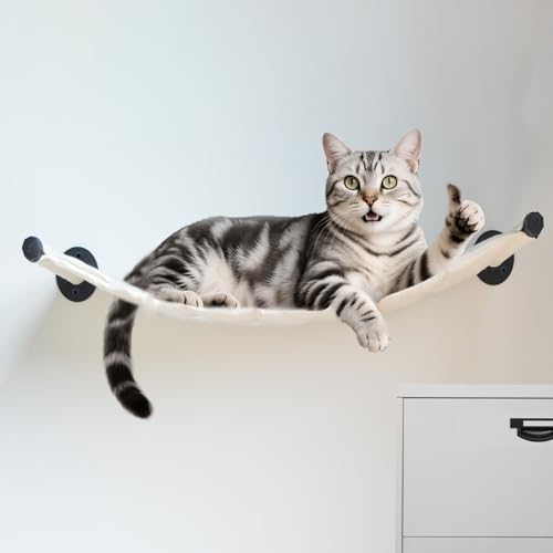 XIFOWE Katzenhängematte zur Wandmontage, 58 x 31,6 cm, Wandmontage, Katzenregale, Metallhalterungen, Katzenbetten zum Schlafen, Spielen, Klettern und Ausruhen, stabilisierte Wandmöbel für große Katzen XIFOWE Katzenhängematte zur Wandmontage, 58 x 31,6 cm, Wandmontage, Katzenregale, Metallhalterungen, Katzenbetten zum Schlafen, Spielen, Klettern und Ausruhen, stabilisierte Wandmöbel für große Katzen von XIFOWE