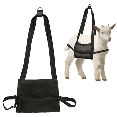 Wadenschlinge zum Wiegen Neugeborener Tiere, Lamm-Gewichtsschlinge mit Verstellbaren Riemen und Schnalle Nylon-Hängewaage Viehschlinge zum Hufschneiden von Babyziegen Hundepflege Wadenschlinge zum Wiegen Neugeborener Tiere, Lamm-Gewichtsschlinge mit Verstellbaren Riemen und Schnalle Nylon-Hängewaage Viehschlinge zum Hufschneiden von Babyziegen Hundepflege von XIHIRCD