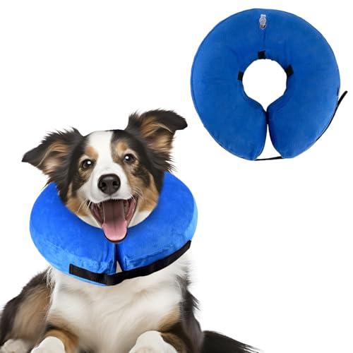XIMEY Schutzkragen Hund, Halskrause Katze, Halskrausen Hunde, Aufblasbare Halskrause Hund, den Postoperativen Schutz von Kopf, Brust und Bauch (Blau, M) von XIMEY